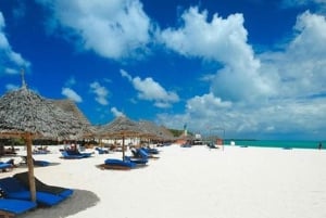 ZANZIBAR: Floresta de Jozani, Caverna Salaam, The Rock e Blue Lagoon