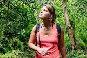 ZANZIBAR: Floresta de Jozani, Caverna Salaam, The Rock e Blue Lagoon