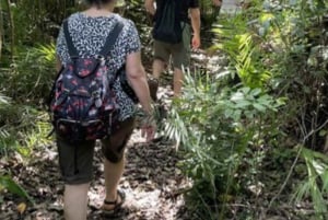 ZANZIBAR: Floresta de Jozani, Caverna Salaam, The Rock e Blue Lagoon