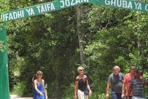 ZANZIBAR: Floresta de Jozani, Caverna Salaam, The Rock e Blue Lagoon