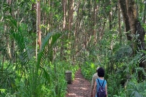 ZANZIBAR: Floresta de Jozani, Caverna Salaam, The Rock e Blue Lagoon