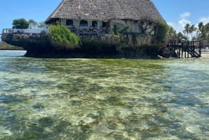 ZANZIBAR: Floresta de Jozani, Caverna Salaam, The Rock e Blue Lagoon