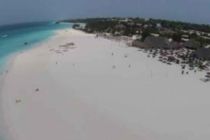 ZANZIBAR: Las Jozani, jaskinia Salaam, The Rock i Blue Lagoon