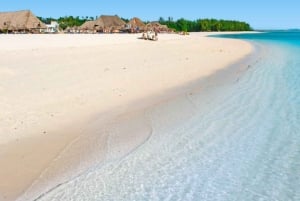 ZANZIBAR: Las Jozani, jaskinia Salaam, The Rock i Blue Lagoon