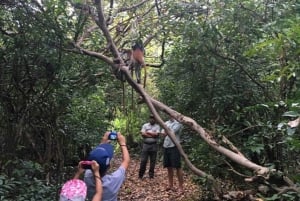 ZANZIBAR: Las Jozani, jaskinia Salaam, The Rock i Blue Lagoon