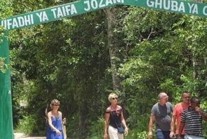 ZANZIBAR: Las Jozani, jaskinia Salaam, The Rock i Blue Lagoon