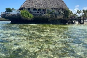 ZANZIBAR: Las Jozani, jaskinia Salaam, The Rock i Blue Lagoon