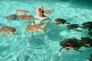 ZANZIBAR: Las Jozani, jaskinia Salaam, The Rock i Blue Lagoon