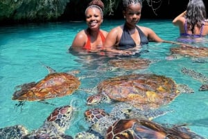 Zanzibar: Jozani Forest, Salaam Cave & The Rock Restaurant