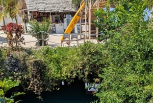 Zanzibar: Floresta Jozani, Caverna Salaam e Restaurante The Rock