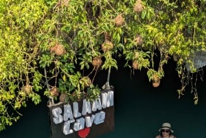 Zanzibar: Floresta Jozani, Caverna Salaam e Restaurante The Rock