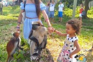 Zanzibar: Floresta Jozani, Caverna Salaam e Restaurante The Rock