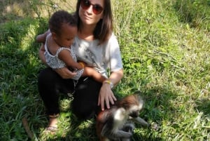 Zanzibar: Floresta Jozani, Caverna Salaam e Restaurante The Rock