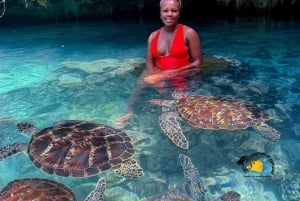 Zanzibar: Floresta Jozani, Caverna Salaam e Restaurante The Rock