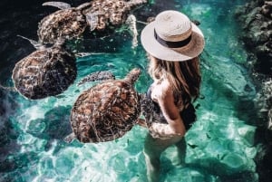 Zanzibar: Jozani Forest, Salaam Cave & The Rock Restaurant