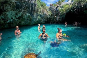 Zanzibar : visite de la forêt de Jozani et de la grotte de Salaam avec prise en charge à l'hôtel