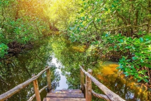 Zanzibar : visite de la forêt de Jozani et de la grotte de Salaam avec prise en charge à l'hôtel