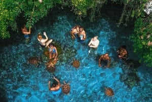 Zanzibar : visite de la forêt de Jozani et de la grotte de Salaam avec prise en charge à l'hôtel