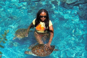 Zanzibar : visite de la forêt de Jozani et de la grotte de Salaam avec prise en charge à l'hôtel