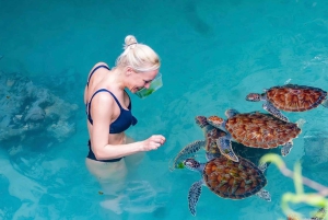 Zanzibar : visite de la forêt de Jozani et de la grotte de Salaam avec prise en charge à l'hôtel