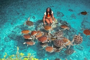 Zanzibar : visite de la forêt de Jozani et de la grotte de Salaam avec prise en charge à l'hôtel