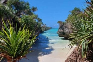 ZANZÍBAR: bosque de Jozani, tortugas de la cueva de Salaam y playa de Mtende