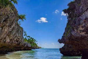 ZANZÍBAR: bosque de Jozani, tortugas de la cueva de Salaam y playa de Mtende