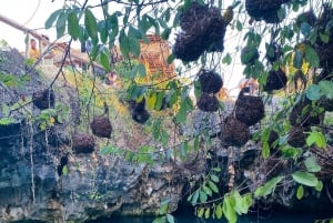 Sansibar: Jozanin metsä, Salaamin ja Maalumin luolat ja auringonlasku.