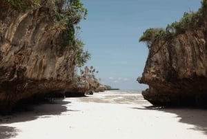 Zanzibar: Jozani Forest, Salam Cave & Mtende Beach Tour
