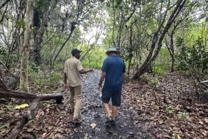 Zanzibar: Jozani Forest, Salam Cave & Mtende Beach Tour
