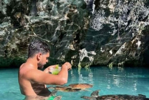 ザンジバル：ジョザニの森、サラム洞窟、ムテンデビーチをご訪問ください