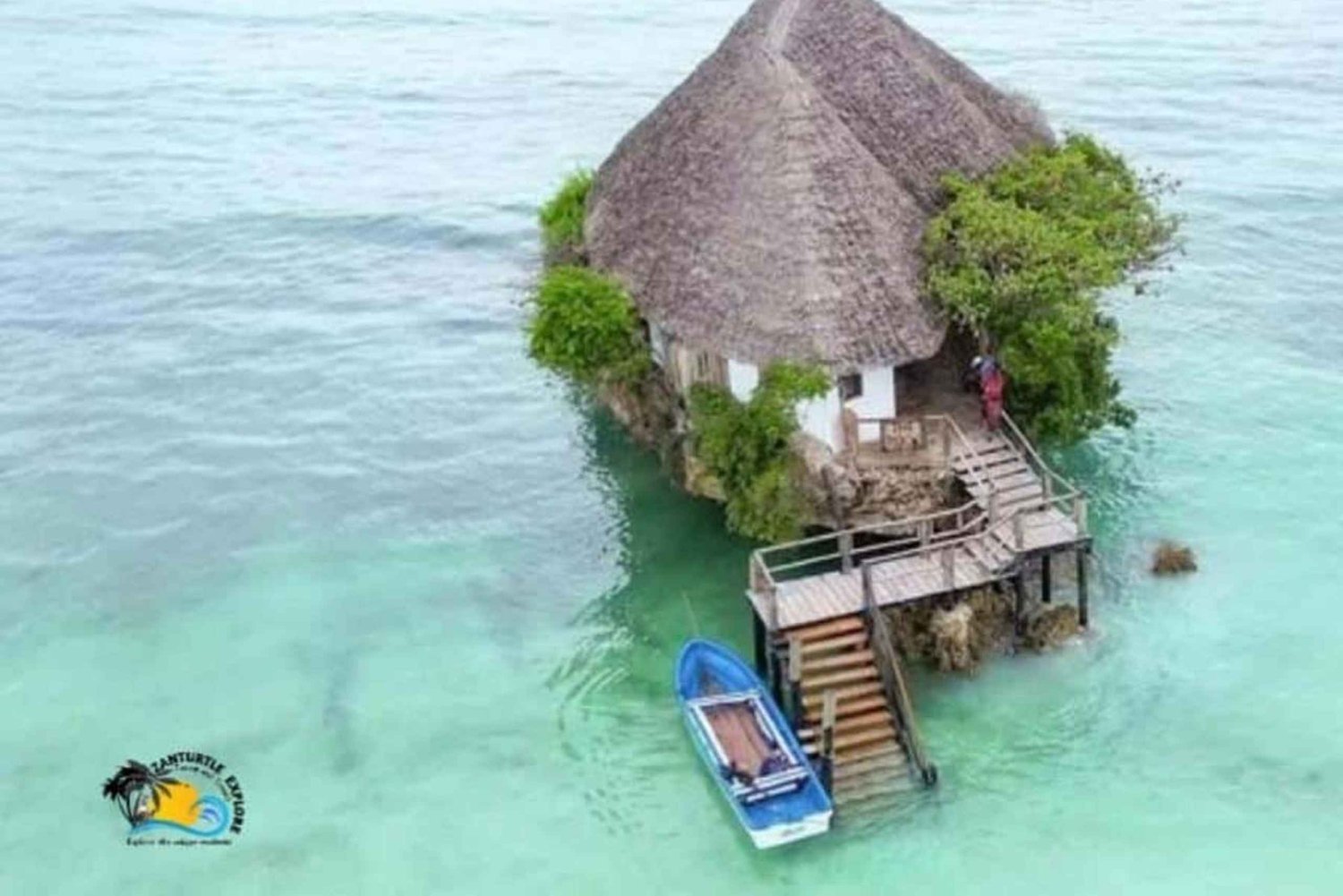 Zanzibar : forêt de Jozani, grotte de Salam et restaurant The Rock