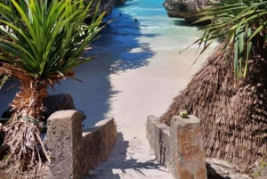 ザンジバル：ジョザニ森林公園、ウミガメ保護区、ムテンデビーチ