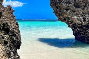 Zanzibar: Jozani-bos, zeeschildpadden en Mtende-strandtour