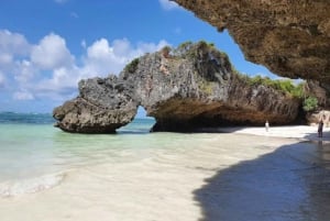 Zanzibar: Jozani-bos, zeeschildpadden en Mtende-strandtour