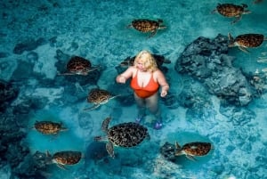 Zanzibar: Jozani-bos, zeeschildpadden en Mtende-strandtour