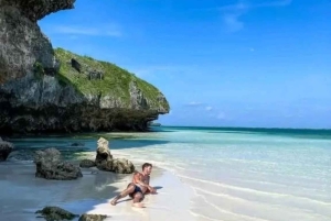 ザンジバル：ジョザニ森林・ウミガメ・ムテンデビーチツアー