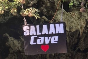 Занзибар: тур по лесу Джозани и заповеднику морских черепах