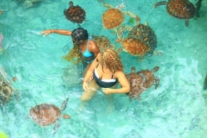 Zanzibar: Jozani Forest & Sea Tortoises Sanctuary Tour