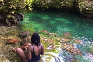 Zanzibar: Jozani Forest & Sea Tortoises Sanctuary Tour