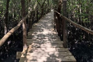 Zanzibar: Jozani Forest & Sea Tortoises Sanctuary Tour