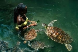 Zanzibar: Jozani Forest & Sea Tortoises Sanctuary Tour