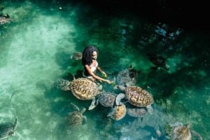 Zanzibar: Jozani Forest & Sea Tortoises Sanctuary Tour