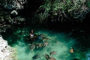 Sansibar: Jozani-Wald & Meeresschildkröten-Reservat