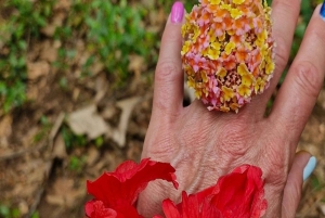 Sansibar: Jozani-Wald, Meeresschildkröten und Gewürzfarm-Tour