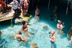 Zanzíbar: bosque de Jozani, tortugas marinas y playa de Kendwa