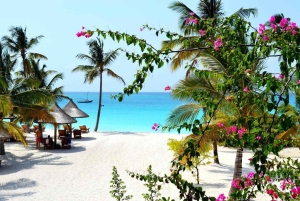 Zanzibar: Jozani Forest, Sea Turtles & Kendwa Beach