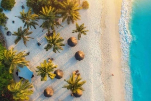 Zanzibar: Jozani Forest, Sea Turtles & Kendwa Beach