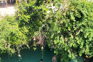 Zanzibar: las Jozani, żółwie morskie, jaskinia Kuza i The Rock