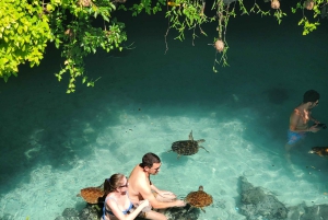 Zanzibar: las Jozani, żółwie morskie, jaskinia Kuza i The Rock